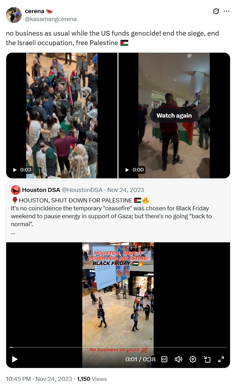 Cerena Ermitanio_#14