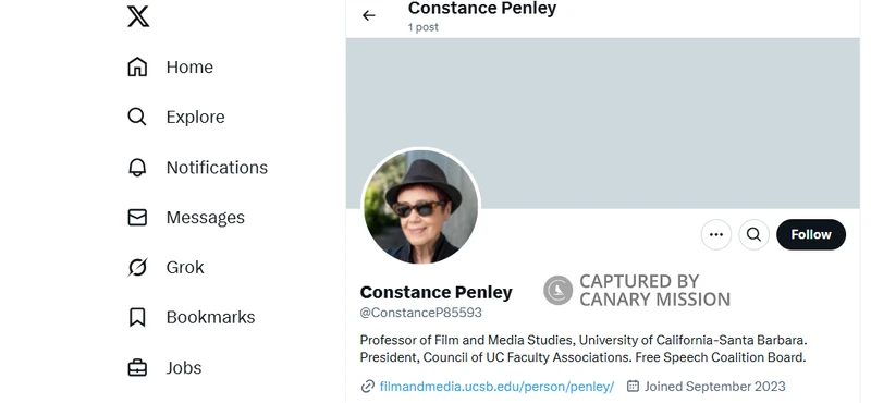 Constance Penley_#11