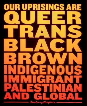 DSA-Transformation-Queer-Trans-Black-Brown.png