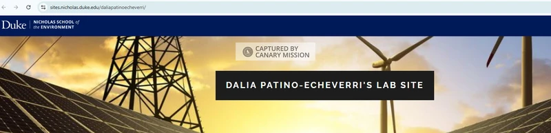 Dalia Patino-Echeverri_#9