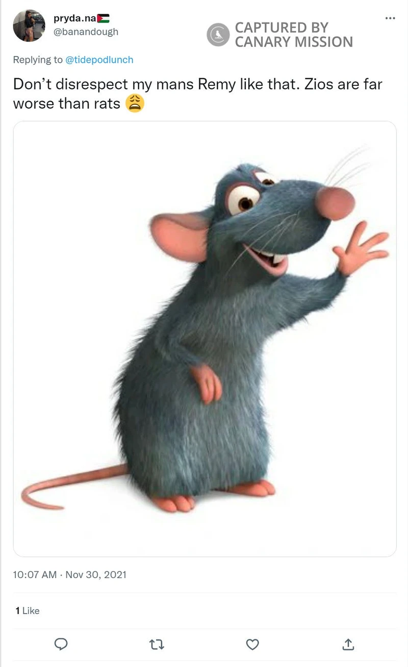 Dana Khalaf cm08 Twitter_#8