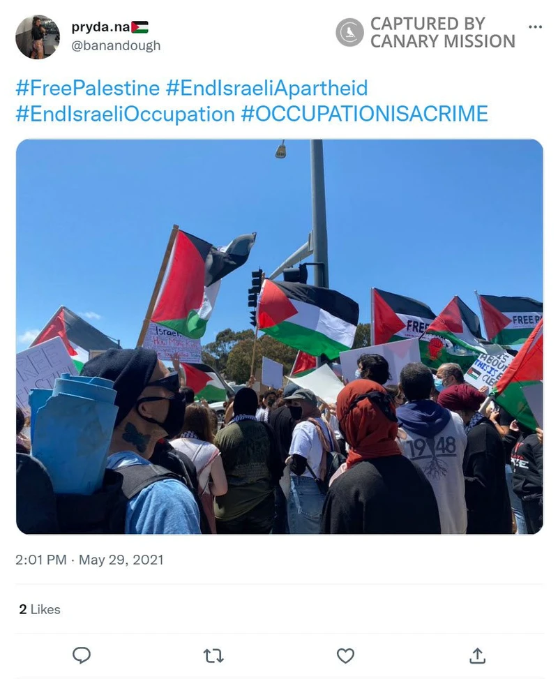 Dana Khalaf cm28 Twitter_#24