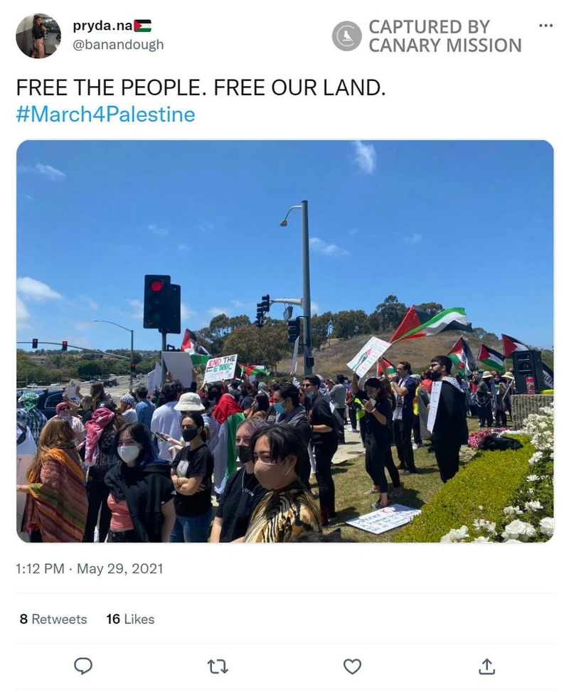 Dana Khalaf cm30 Twitter_#26