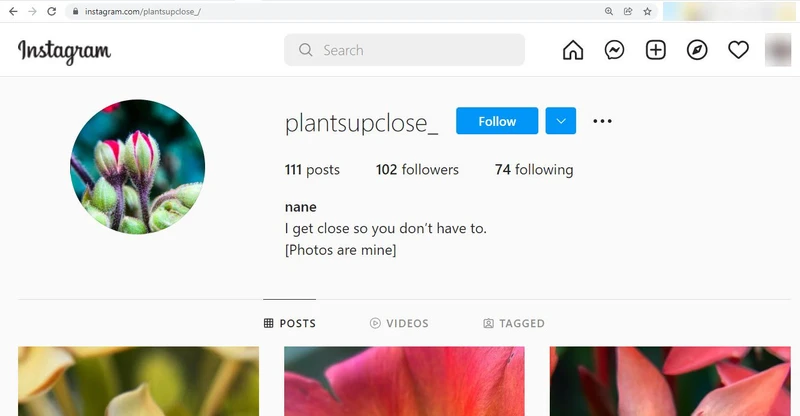 Dana Khalaf cm52 Instagram_#46