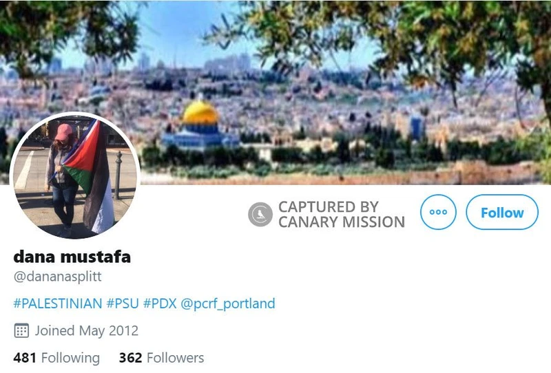 Dana Mustafa cm30b Twitter_#35