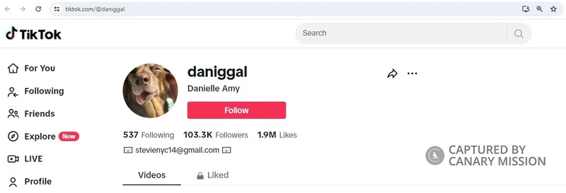 Danielle Meltzer cm11 TikTok_#12