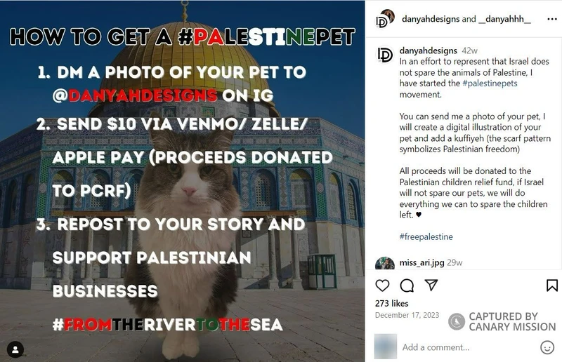 Danyah Dahbour cm01 Instagram_#1