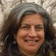 Davinder Bhowmik