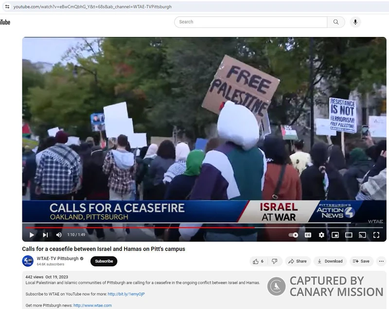 Deena Eldaour cm13a YouTube_#11