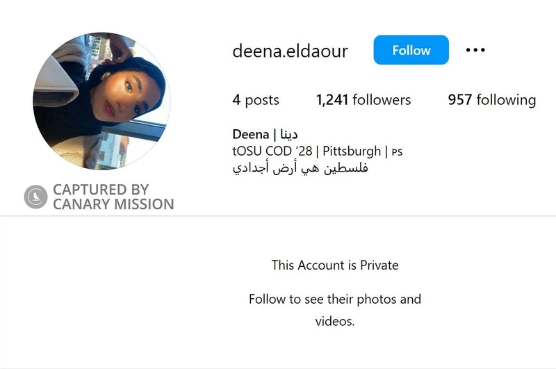 Deena Eldaour cm34a Instagram_#39