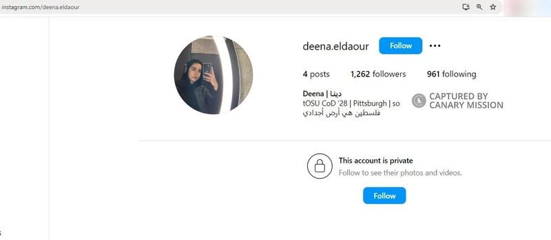 Deena Eldaour cm34b Instagram_#40