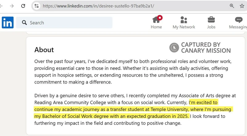 Desiree Sustello cm03 LinkedIn_#4