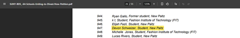 Devon_Schweizer_Jan_15_2024.amchainitiative.org.png _#1