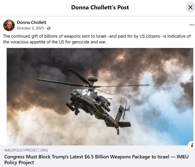 Donna Chollett_#8