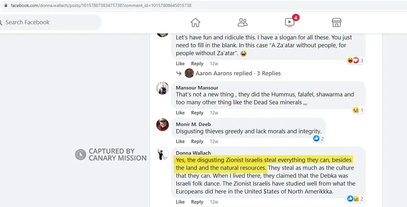 Donna Wallach cm02 Facebook_#6