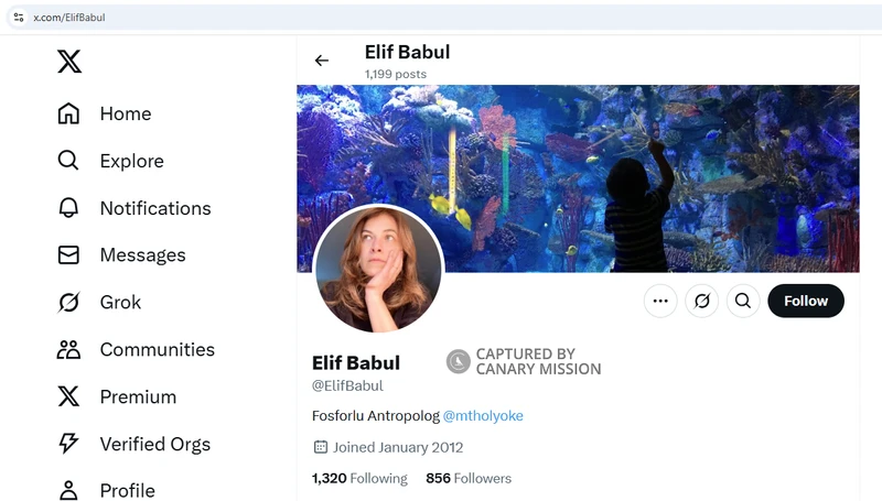 Elif Babul_#11