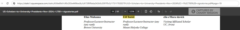 Elif_Babul_Nov_2024_static1.squarespace.com-1.png _#1