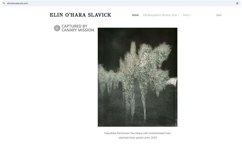 Elin O'Hara Slavick_#15