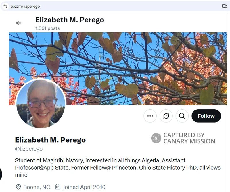 Elizabeth Perego_#10