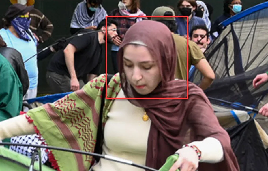 Eman Raja