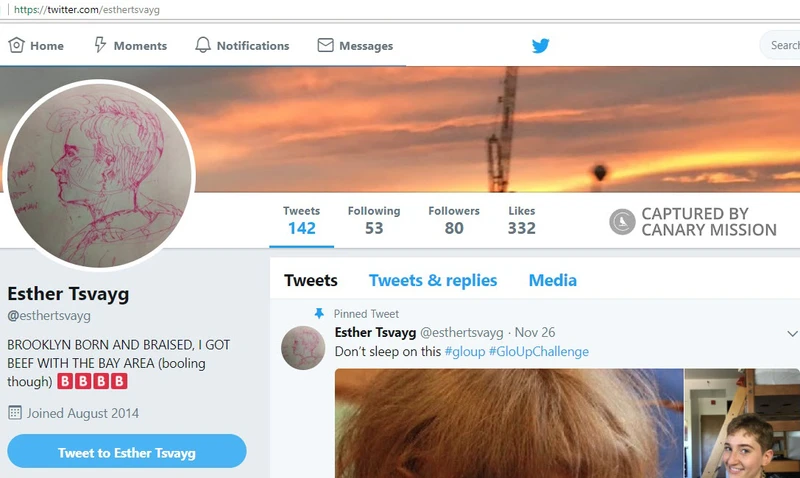 Esther_Tsvayg_cm23a_Twitter_Dec_5_2017.jpg_#23