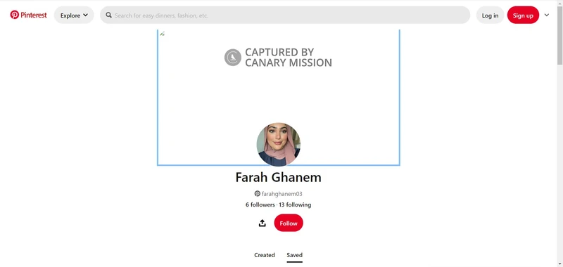 Farah Ghanem cm11 Pinterest_#14