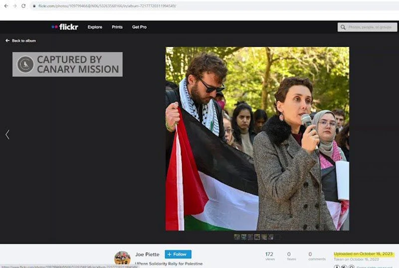 Fatemeh Shams cm01 flickr.com_#1