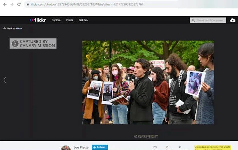 Fatemeh Shams cm04 flickr.com_#5