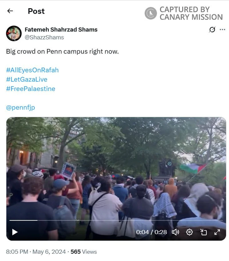 Fatemeh Shams cm05b X_#7