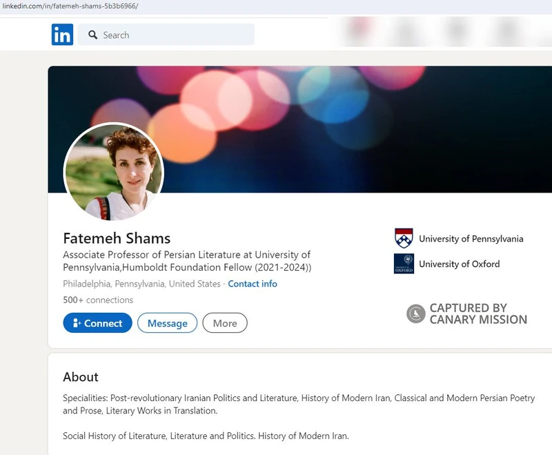 Fatemeh Shams cm13 LinkedIn_#23