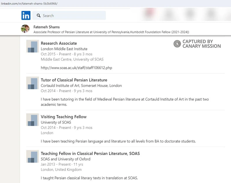 Fatemeh Shams cm13b LinkedIn_#25
