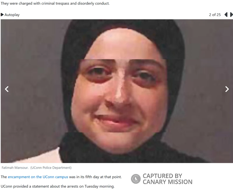 Fatimah Mansour_#1