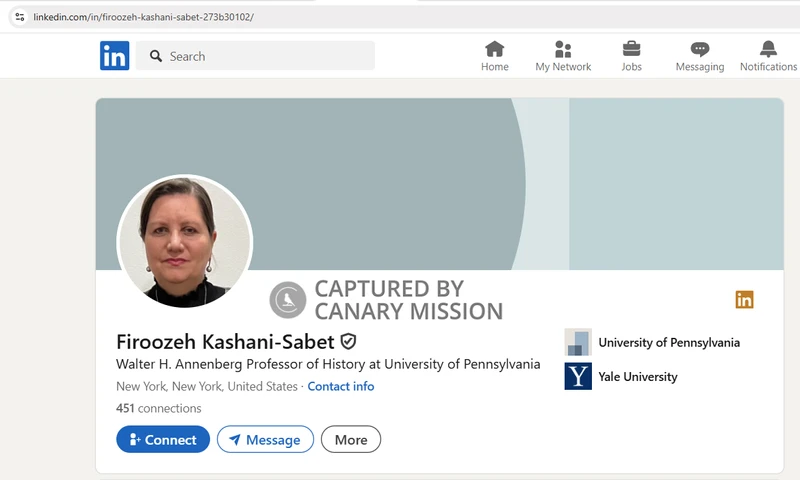 Firoozeh Kashani Sabet_#10