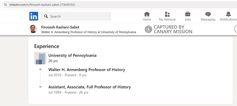 Firoozeh Kashani Sabet_#11