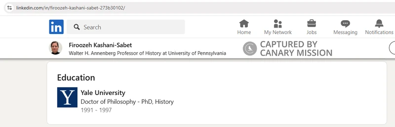 Firoozeh Kashani Sabet_#12