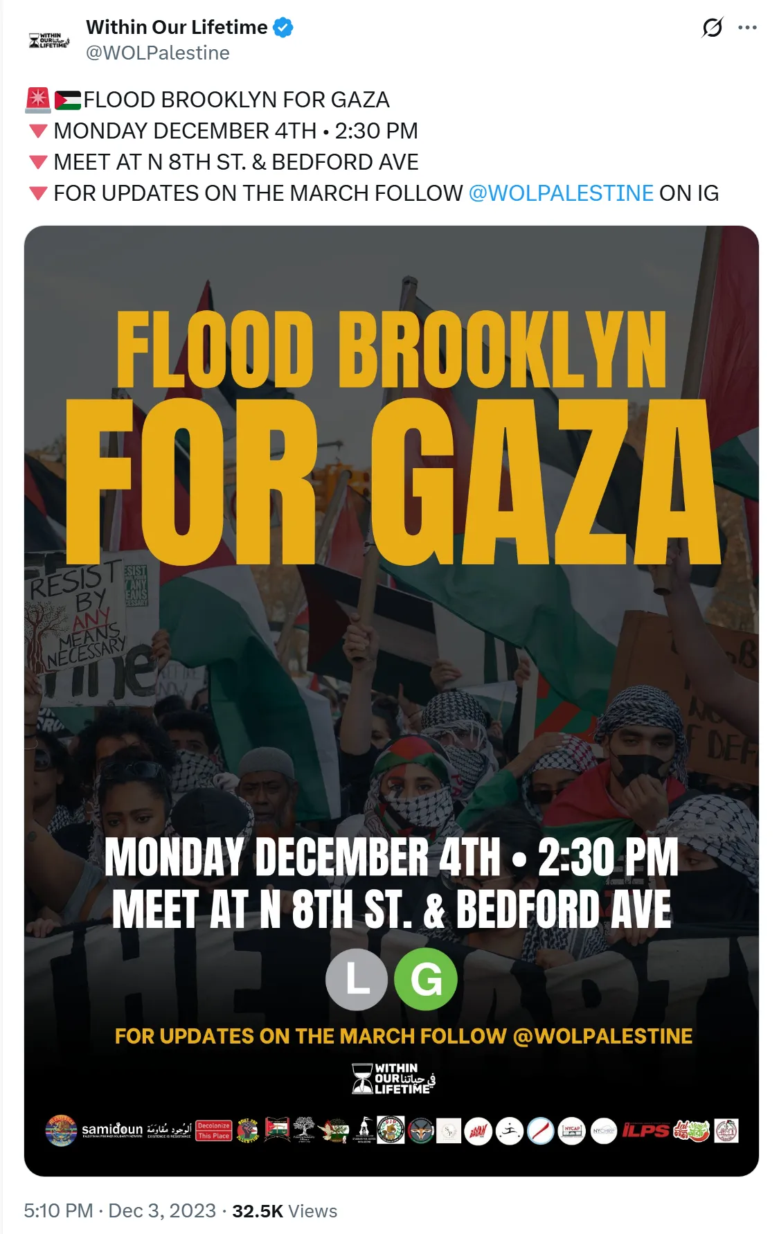 Flood Brooklyn For Gaza