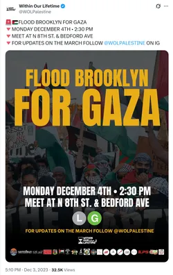Flood Brooklyn For Gaza