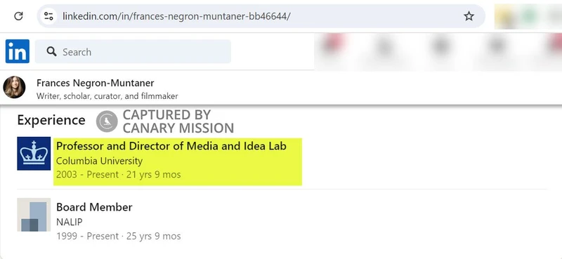 Frances Negron-Muntaner cm03 LinkedIn_#3
