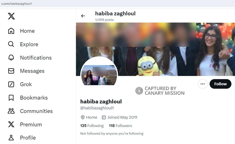 Habiba Zaghloul_#8