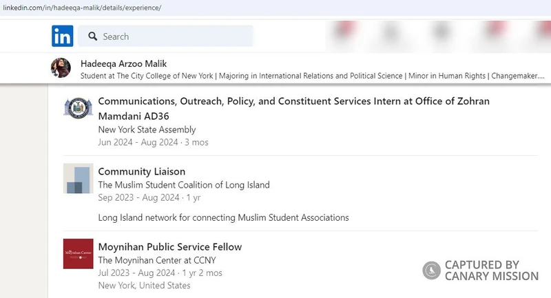 Hadeeqa Malik cm25 LinkedIn_#17