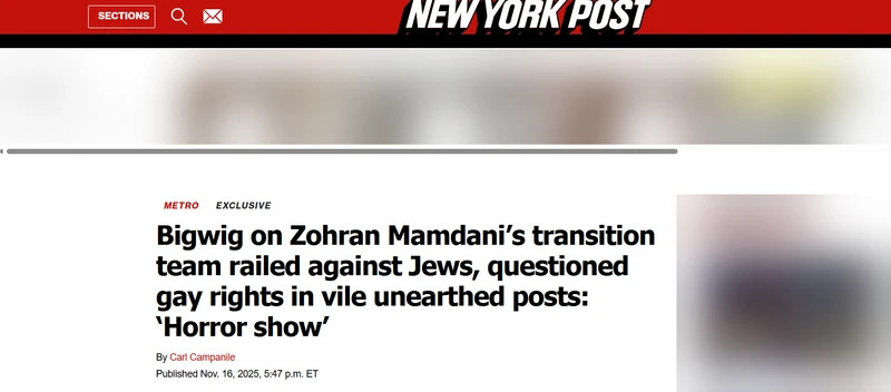 Hassaan_Chaudhary_Nov_16_2025_nypost.com_#1