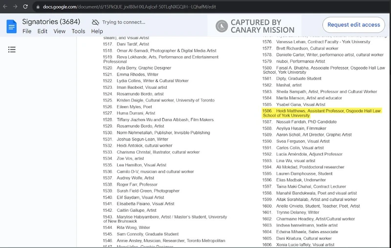 Heidi Matthews cm09 docs.google.com_#9