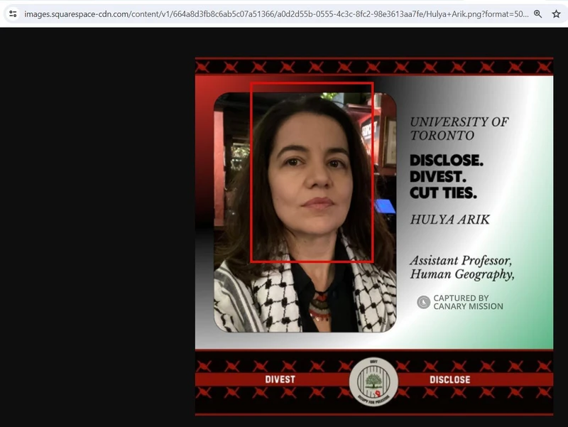 Hulya Arik cm01 images.squarespace-cdn.com_#1