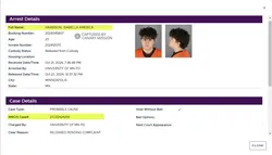 Isabella_Harbison_Oct_21_2024_jailroster.hennepin.us_1.png