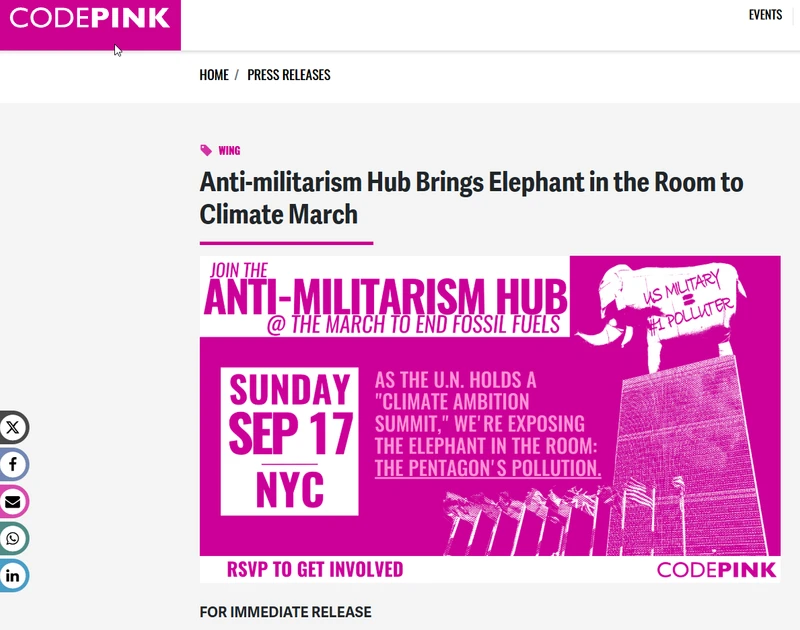 James_Rine_Jun_18_2026_codepink.org_1.png_#1