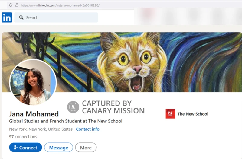 Jana_Mohamed_Feb_28_2024_LinkedIn_1.png_#23