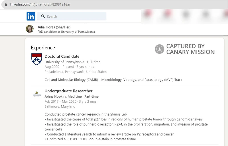 Julia Flores cm04 LinkedIn_#4