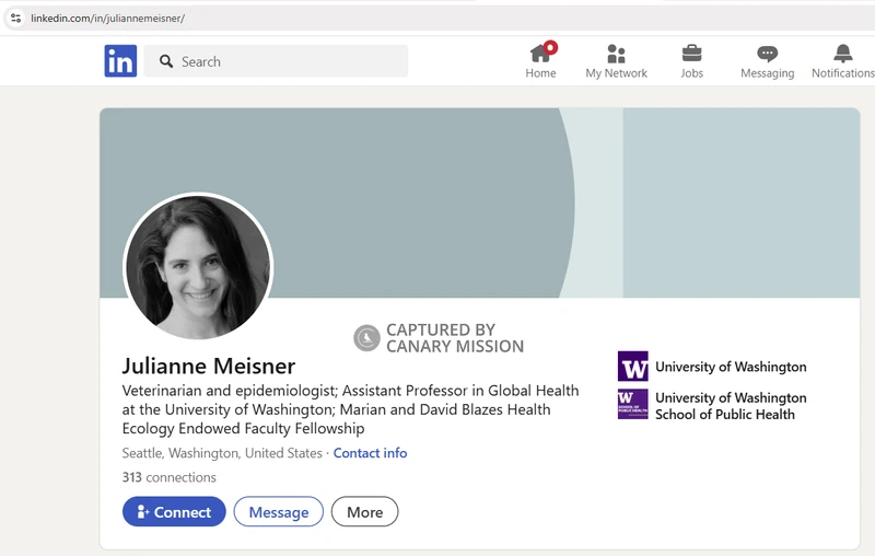 Julianne_Meisner_Apr_2_2025_LinkedIn_1_#12