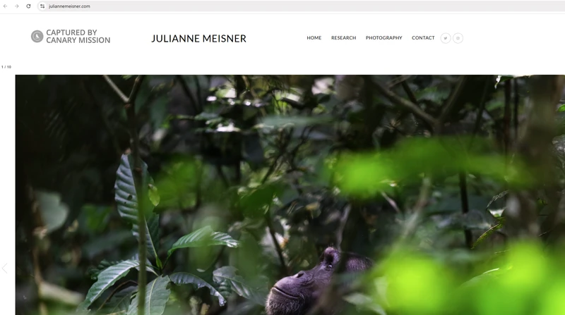 Julianne_Meisner_Apr_2_2025_juliannemeisner_#16