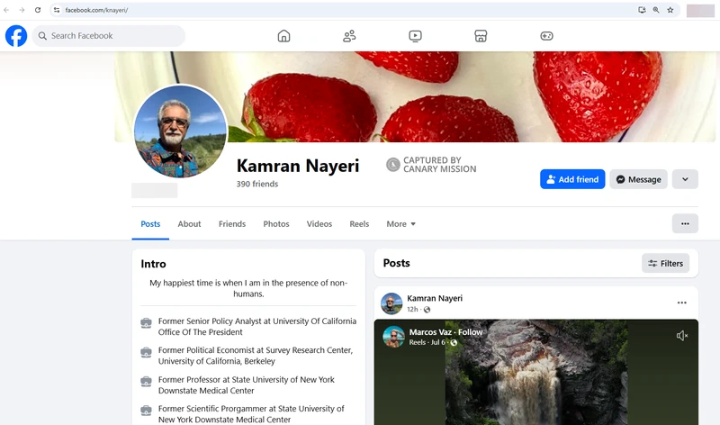 Kamran Nayeri_#8